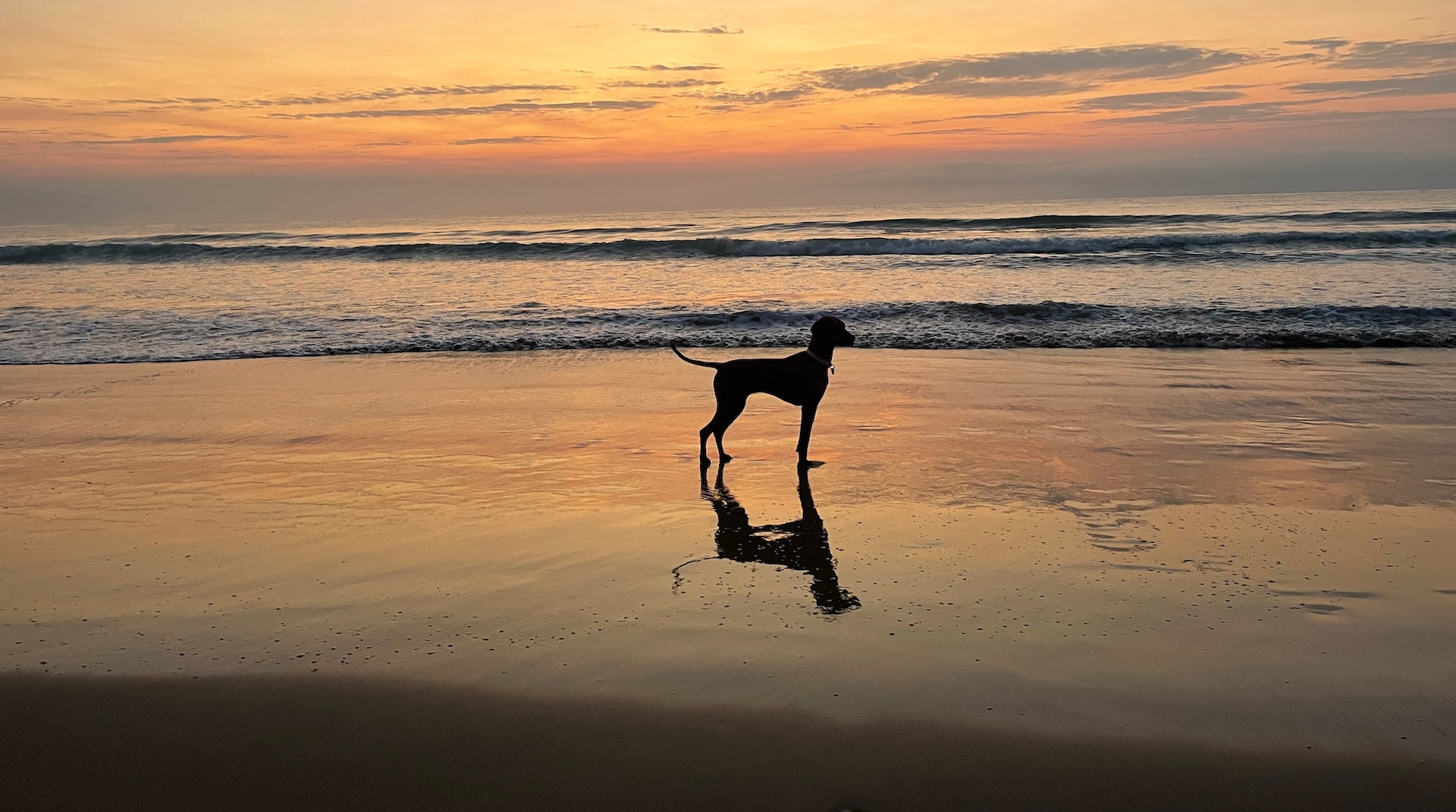 A Coastal Odyssey: Explore the Great Ocean Road