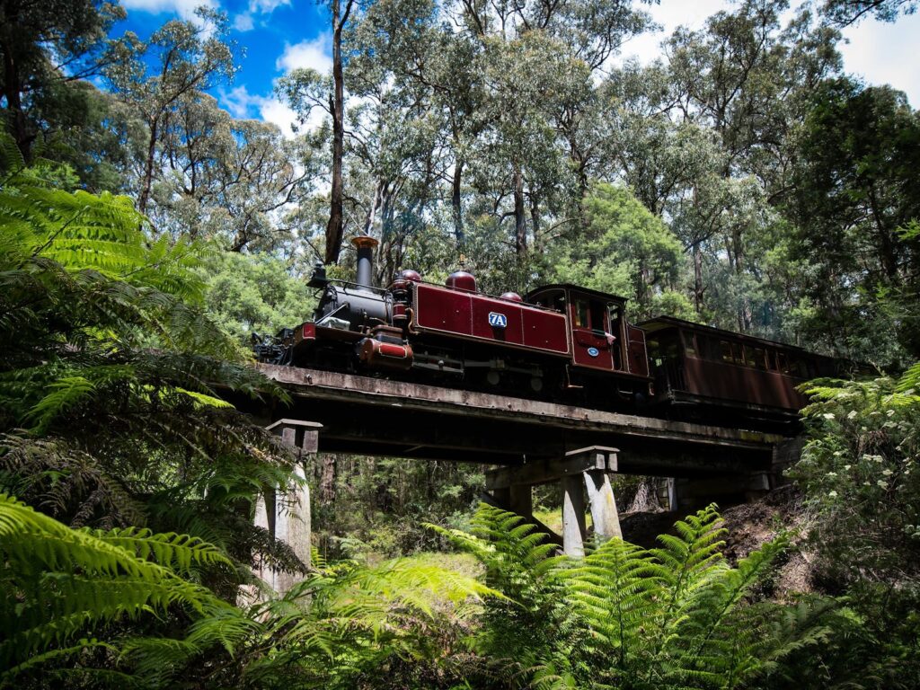 puffing billy bridge