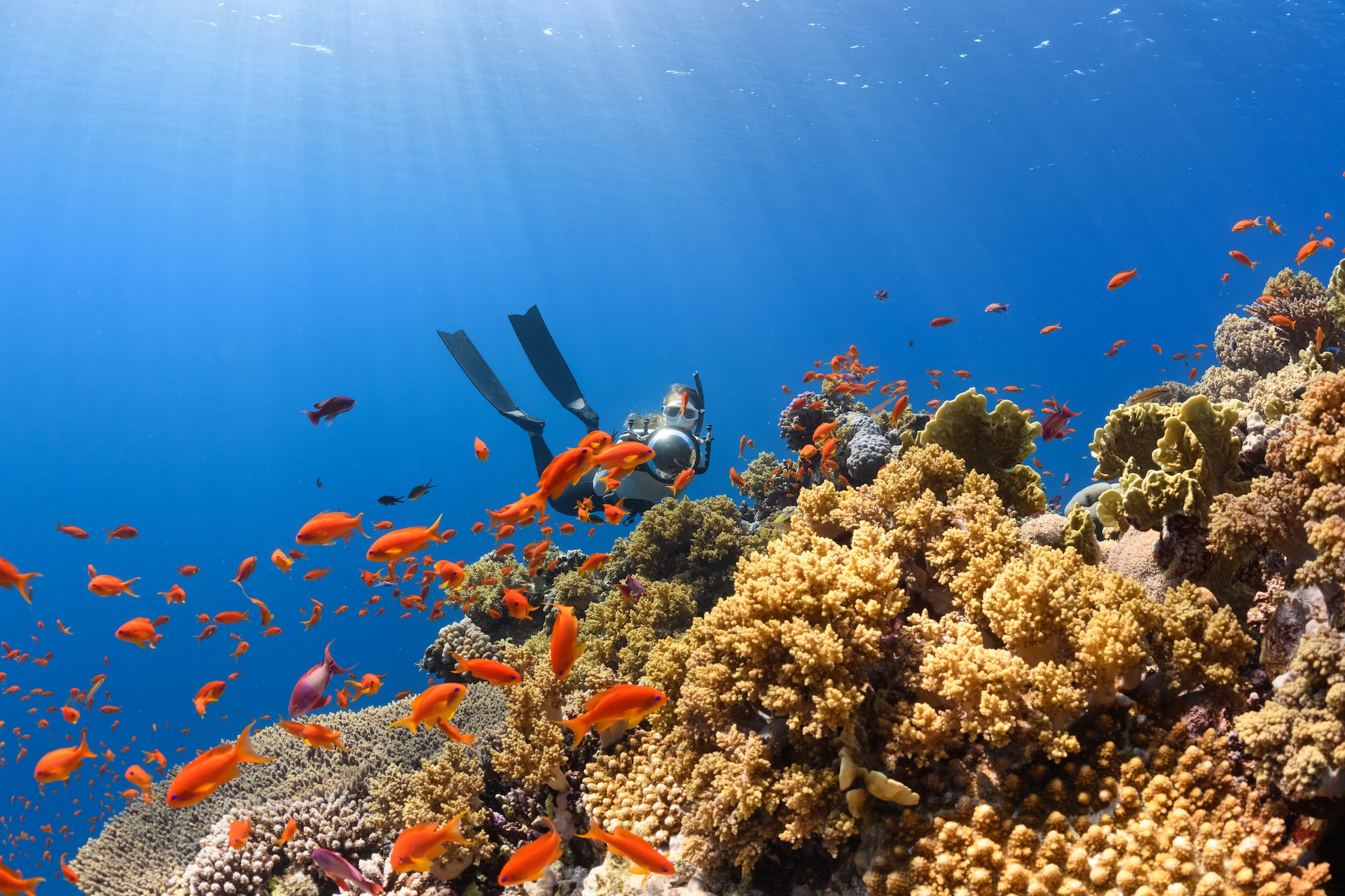 Family Marvels at the Wonders of the Great Barrier Reef