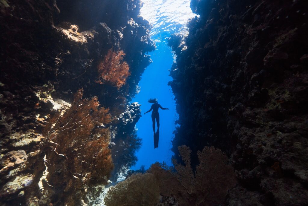 barrier reef adventure - sonkling