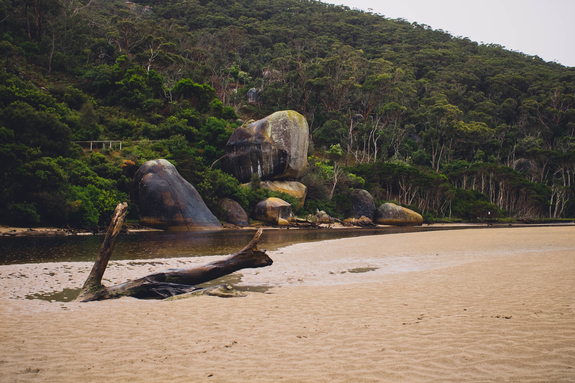 Nature’s Canvas: Wilsons Promontory, Victoria